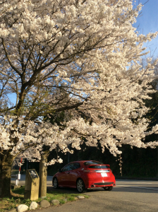 �V�r�b�NTYPE R