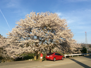 �V�r�b�NTYPE R