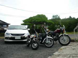 �C���T�C�g