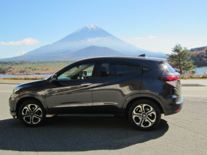 ���F�[��