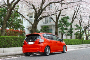フィット