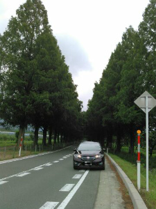 フィット