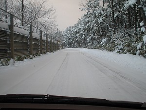 �X�e�b�v���S��