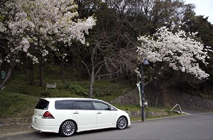 �I�f�b�Z�C