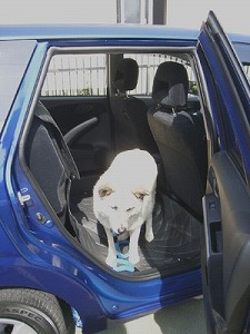 �G�A�E�F�C�u