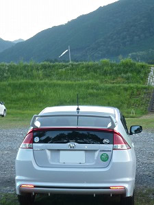 �C���T�C�g