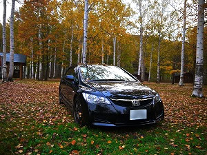 �V�r�b�NTYPE R