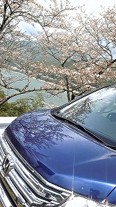 �X�e�b�v���S��