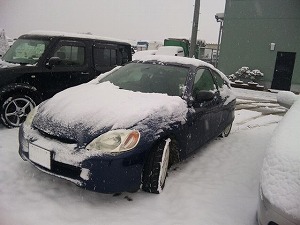 �C���T�C�g