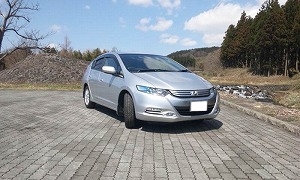 �C���T�C�g