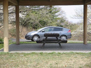 �C���T�C�g