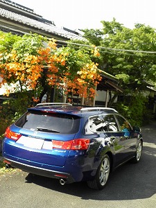 �A�R�[�h�c�A���[