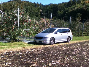 �I�f�b�Z�C