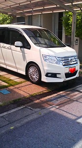 �X�e�b�v���S��