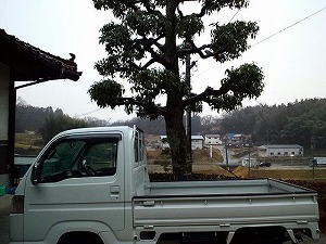 �A�N�e�B�E�g���b�N