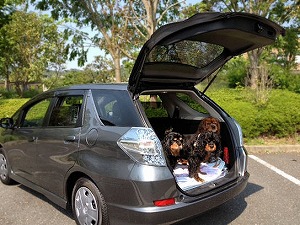 �t�B�b�g �V���g��