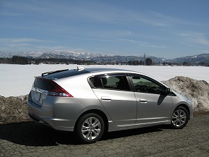 �C���T�C�g