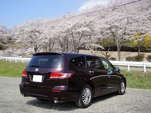 �I�f�b�Z�C