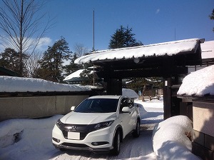 ���F�[��