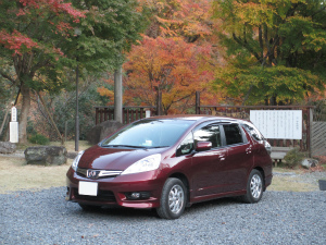 �t�B�b�g �V���g��