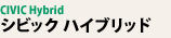 �V�r�b�N �n�C�u���b�h